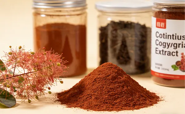 Cotinus Coggygria Extract Cotinus Coggygria Extract