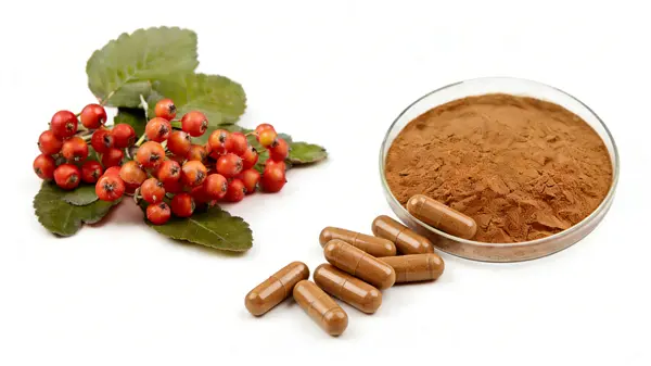 Hawthorn Fruit Extract