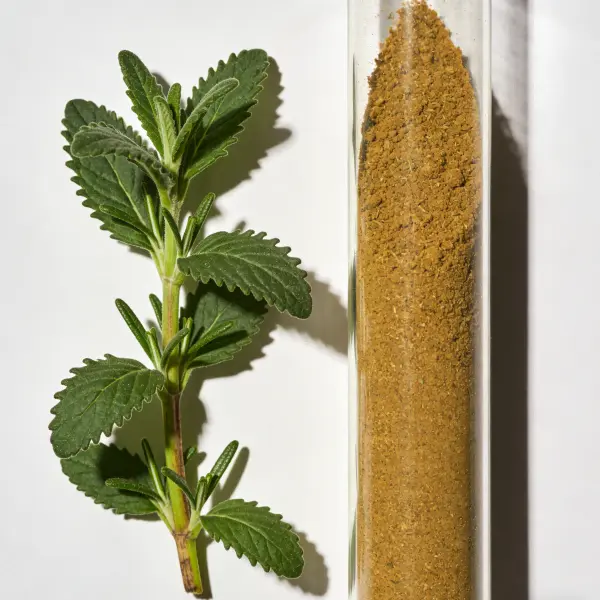 Rosemary Extract Powder