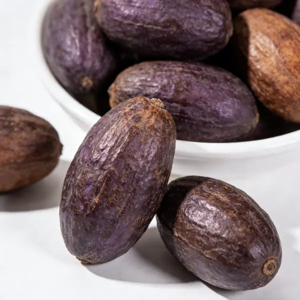 Saw Palmetto Extract Powder