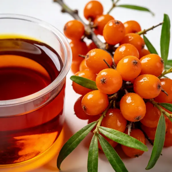 Organic Sea Buckthorn Seed Oil Organic Sea Buckthorn Seed Oil