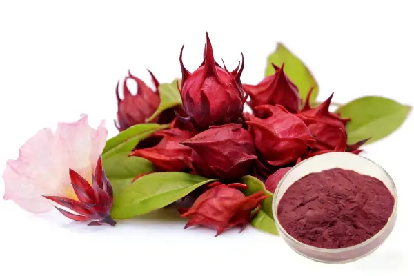 Hibiscus Flower Extract