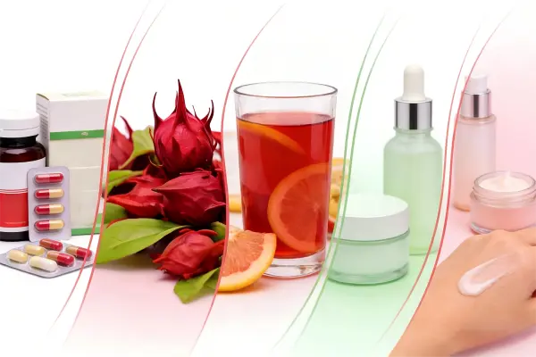 Hibiscus Flower Extract Hibiscus Flower Extract