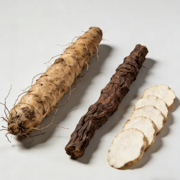 Wild Yam Extract Powder