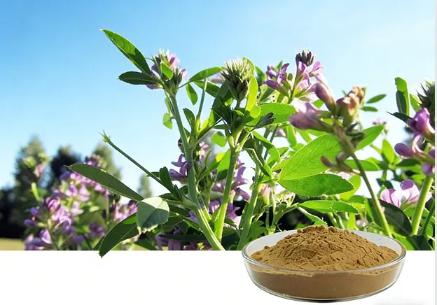 product-1-1 product-1-1