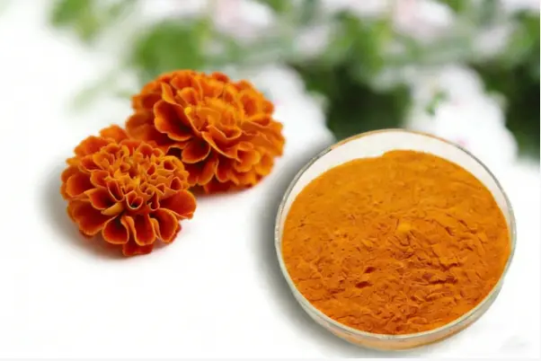 Marigold Extract