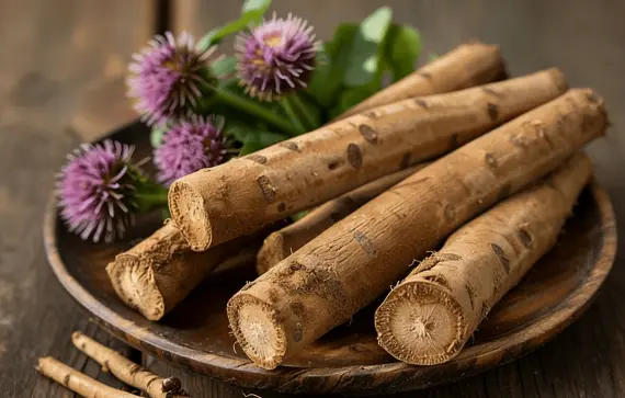 Burdock Extract Powder