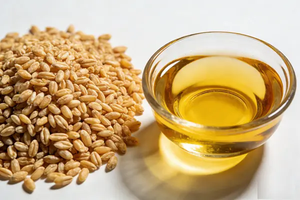 Wheat Germ Oil Wheat Germ Oil
