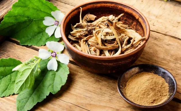 Marshmallow Root Extract Powder Marshmallow Root Extract Powder