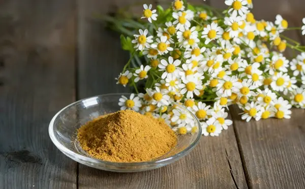 Feverfew Extract