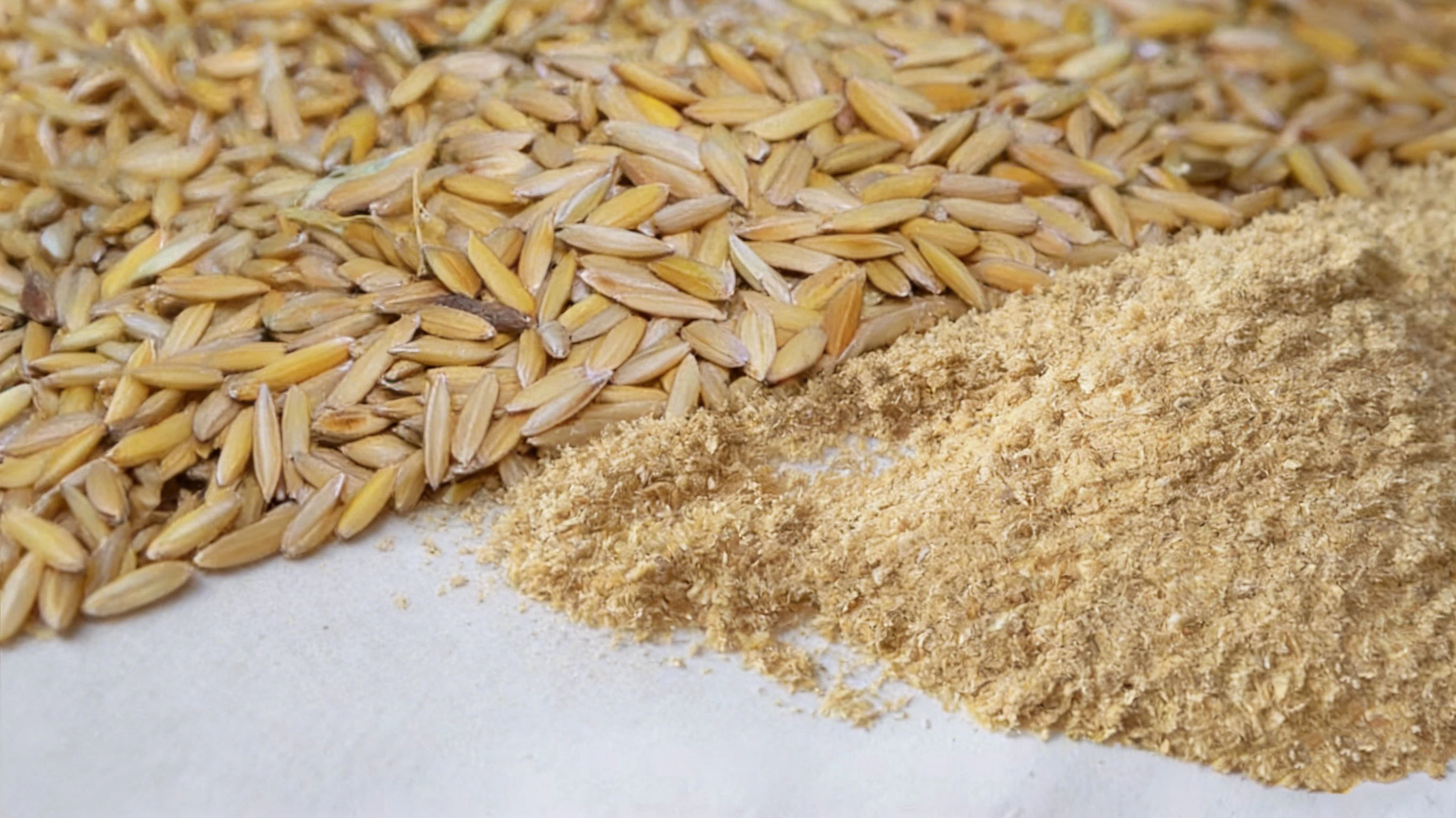 Rice Bran Raw Materials