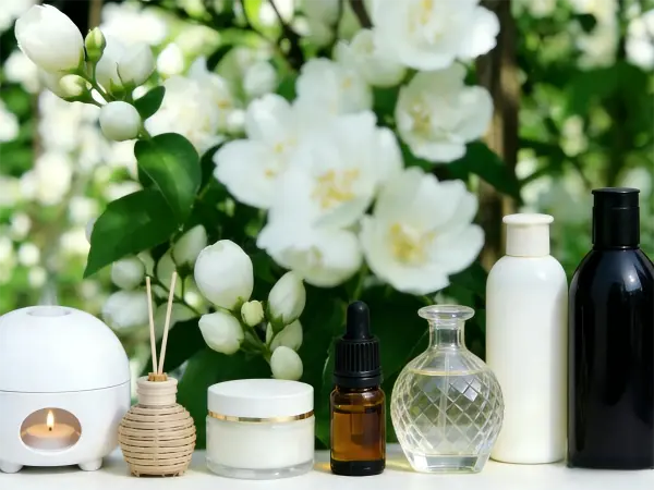 Jasmine Flower Extract