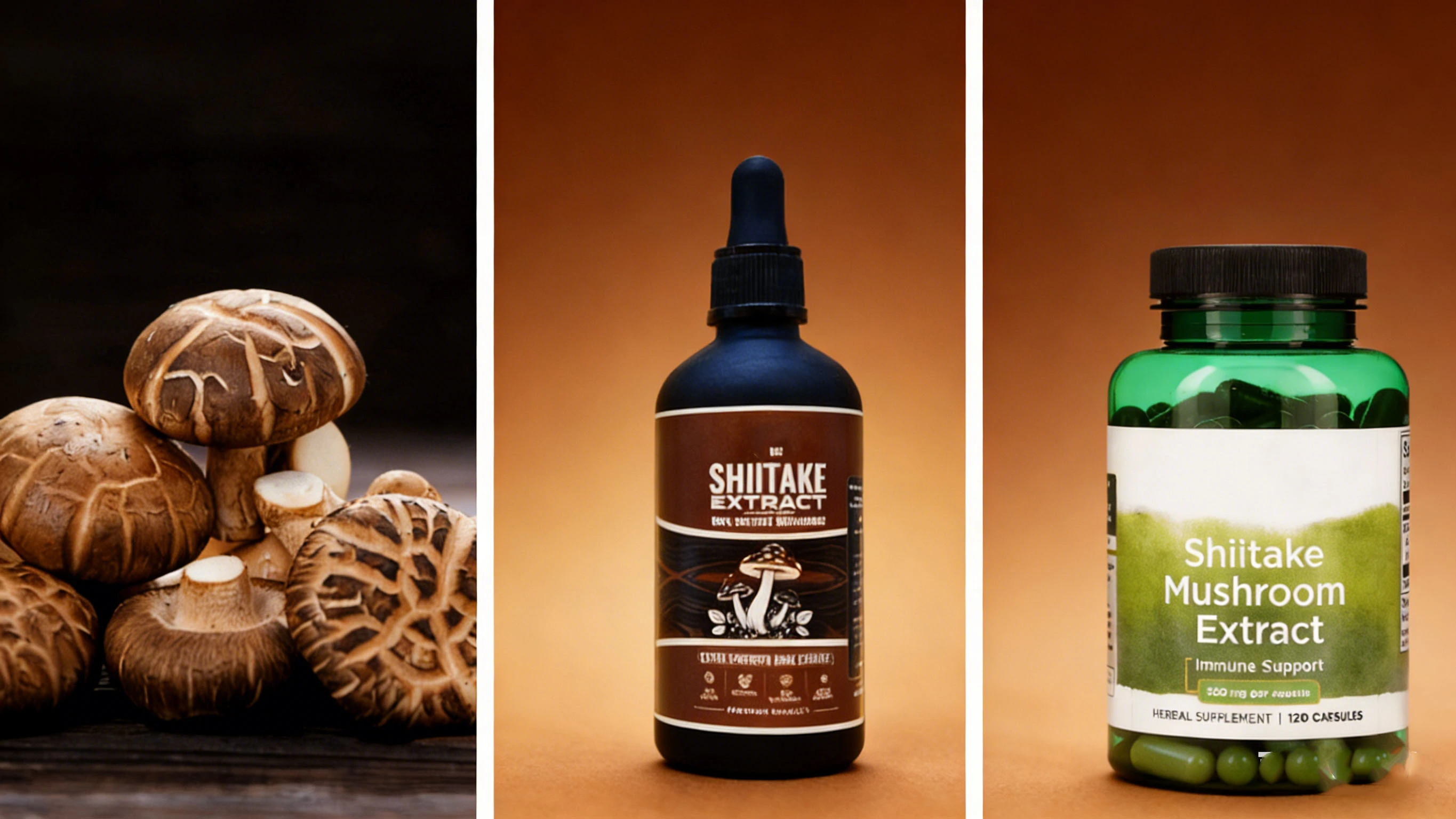 Shitake Mushroom Products Shitake Mushroom Products