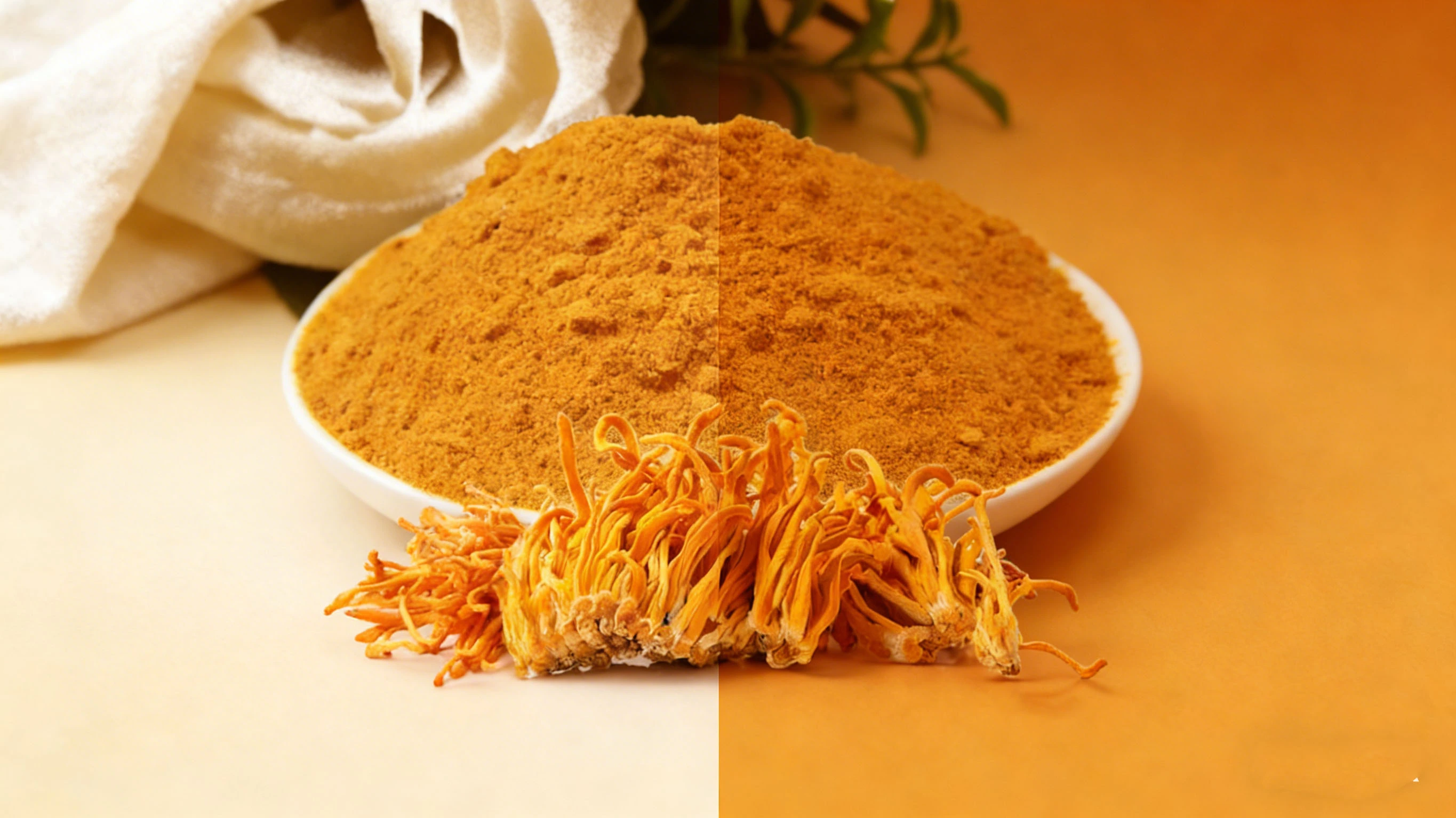 Cordyceps Militaris Mushroom Extract