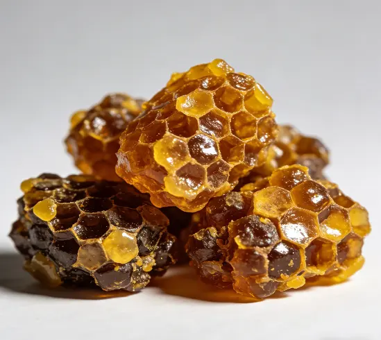 Bee Propolis Powder Bee Propolis Powder