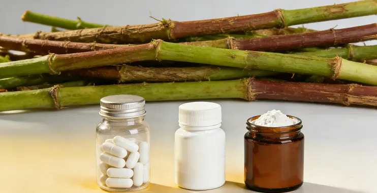 product-1-1 product-1-1