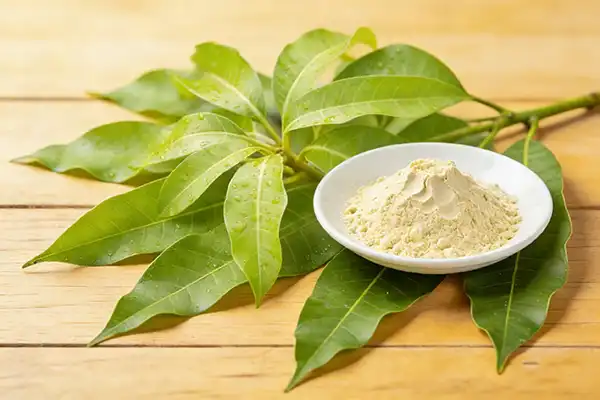 Mango Leaf Powder