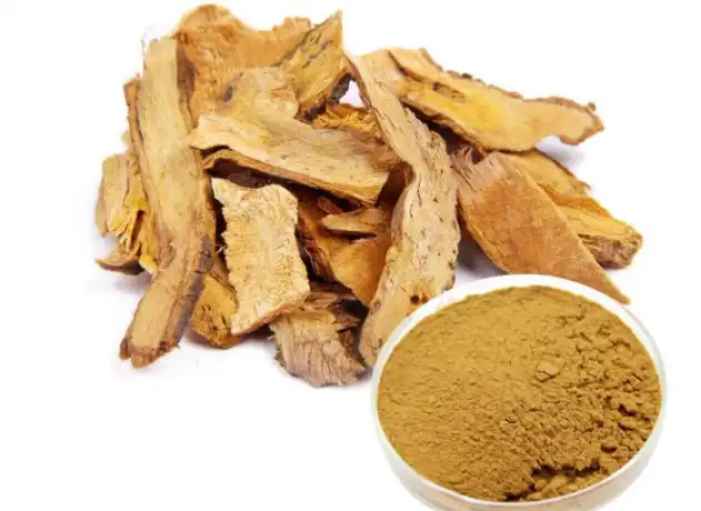 Polygonum Cuspidatum Extract 
