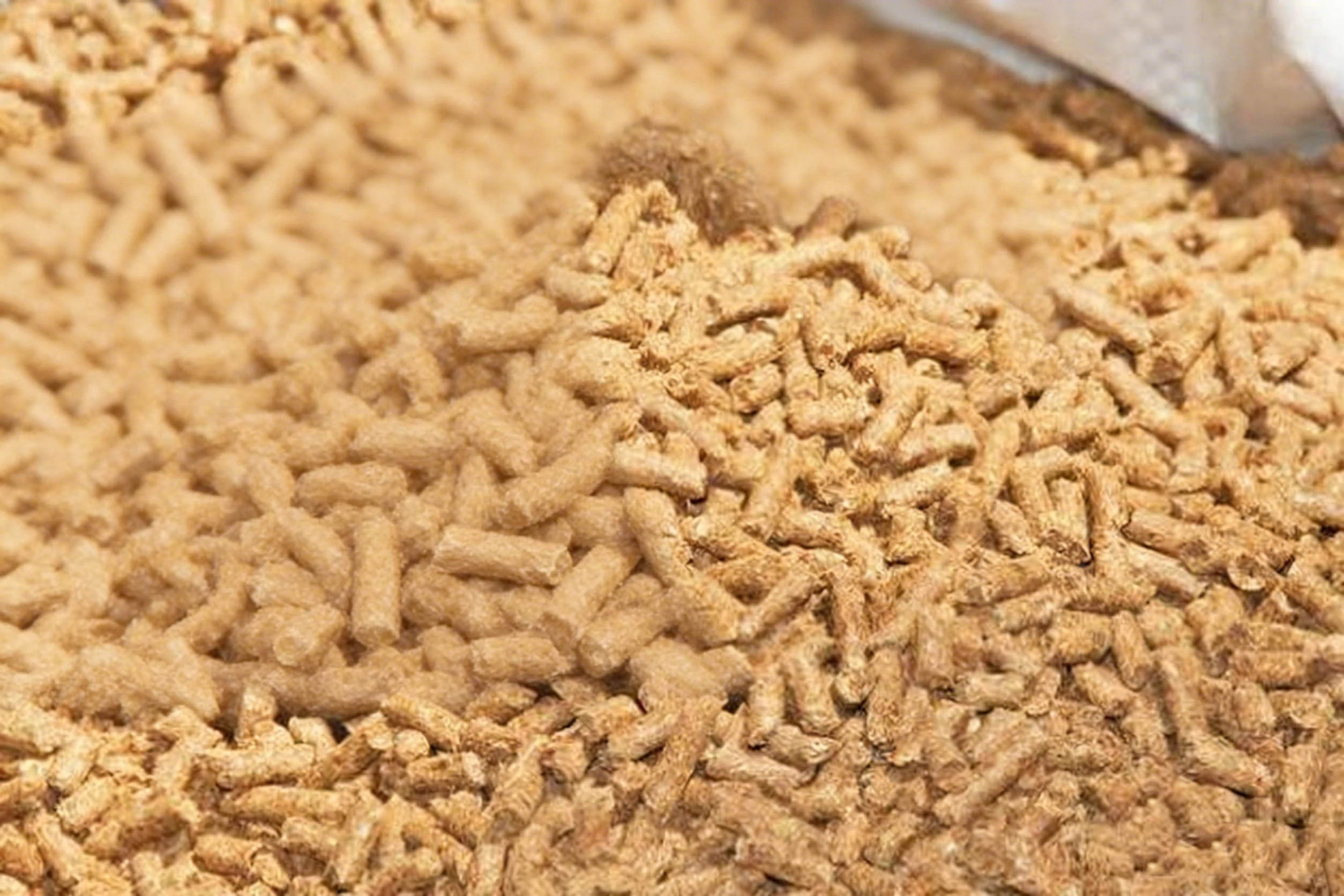 Eucommia Ulmoides Extract Eucommia Ulmoides Extract