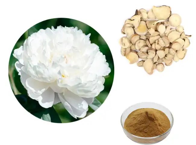 White Paeony Extract