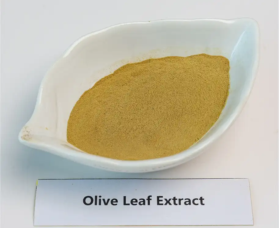 Olive Extract Powder Olive Extract Powder