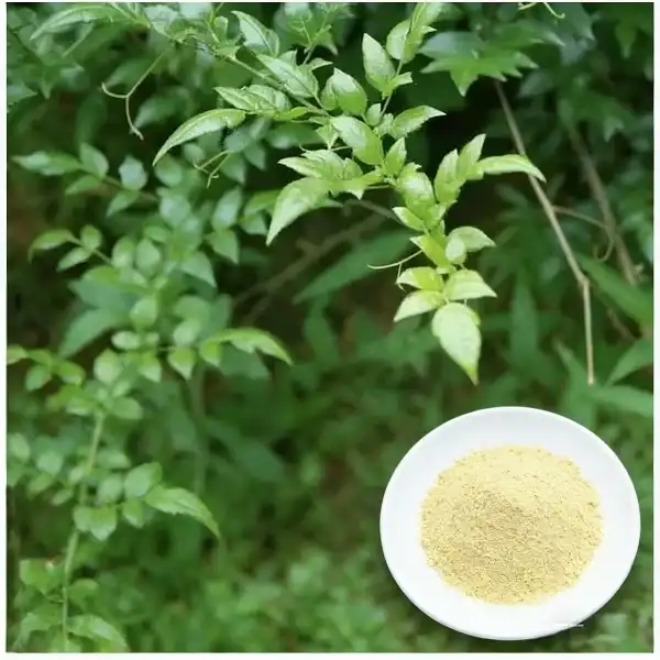 Vine Tea Extract