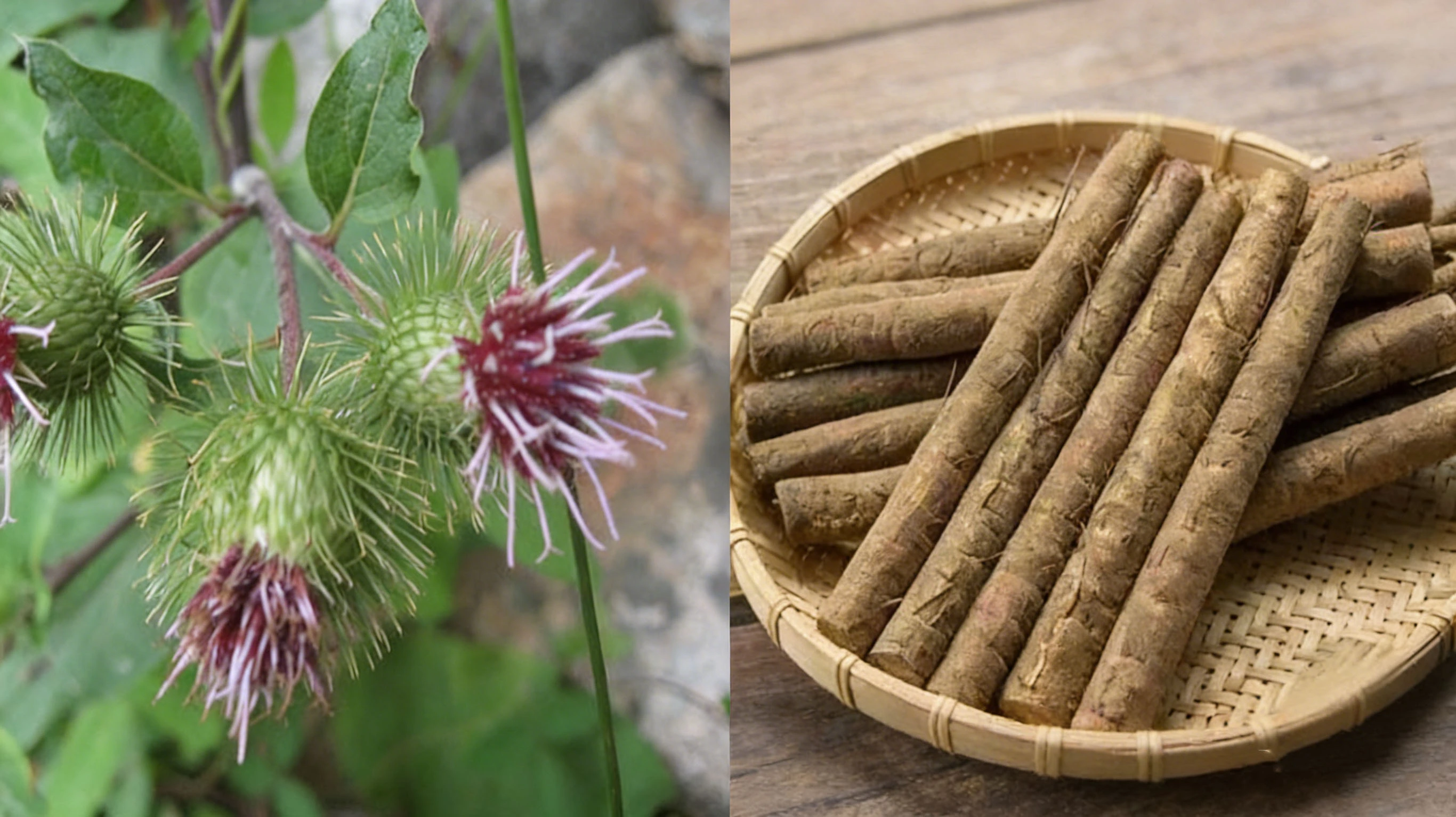 product-1-1 product-1-1