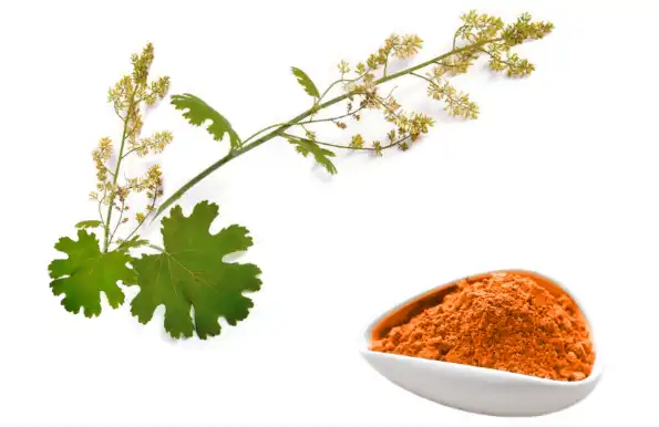 Macleaya Cordata Extract