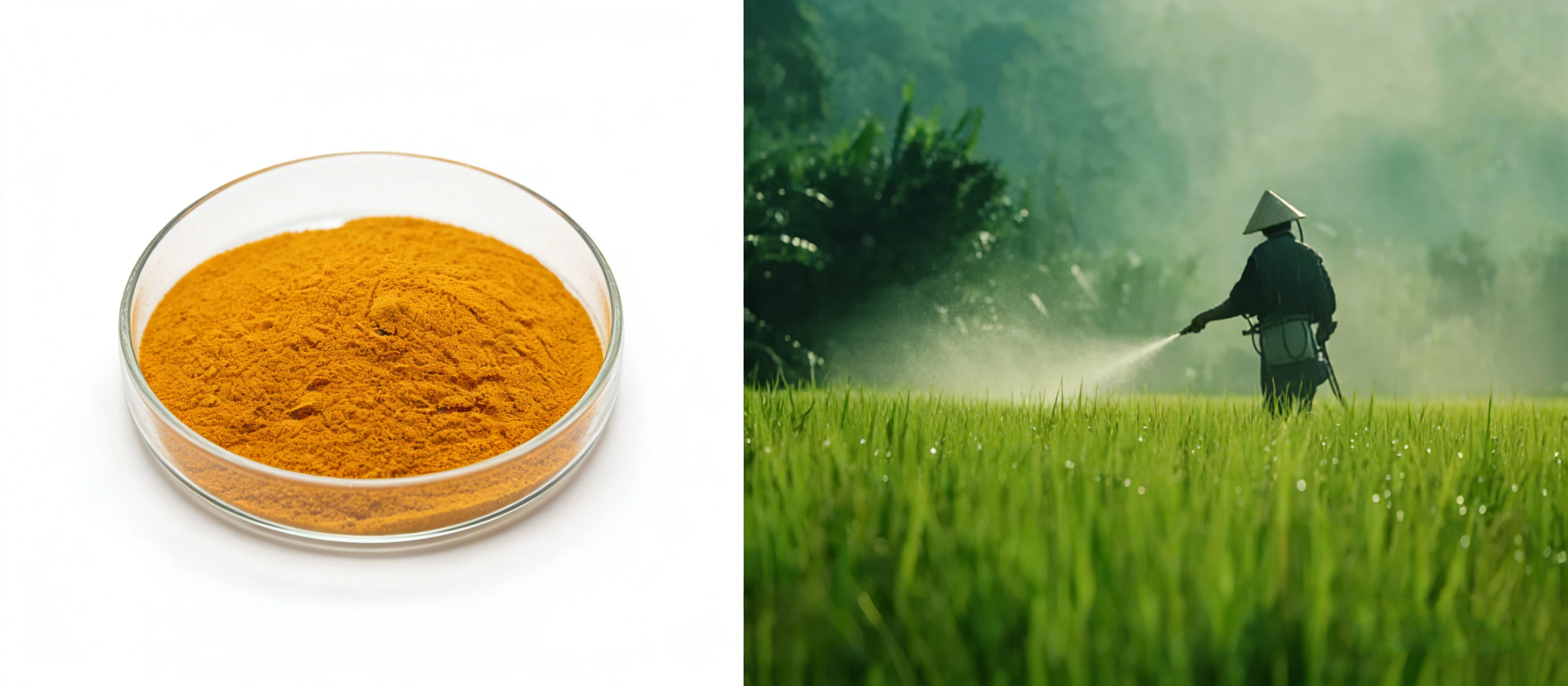 product-1-1 product-1-1