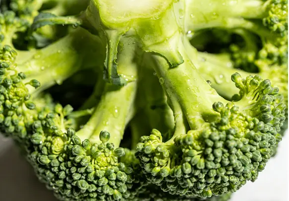 Broccoli Extract Powder