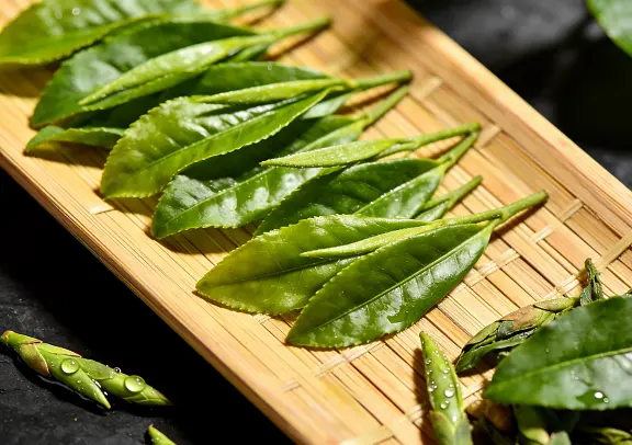  Instant Green Tea Powder