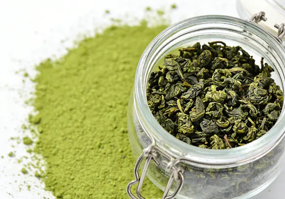 Instant Green Tea Powder Instant Green Tea Powder