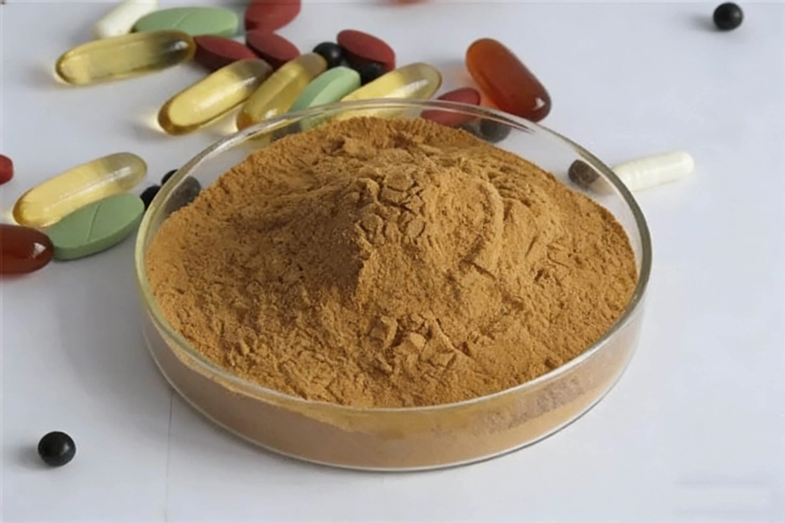 Alfalfa Extract Powder