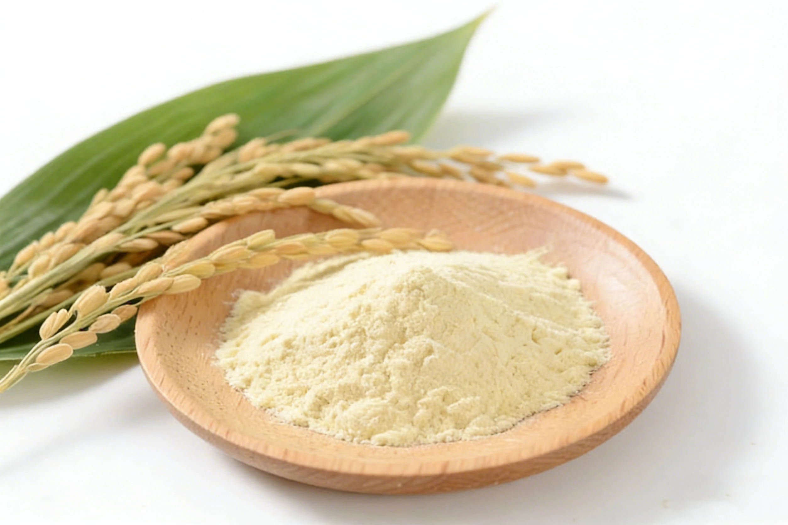 Rice Bran Extract Rice Bran Extract