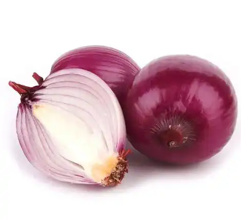 Onion Extract Onion Extract