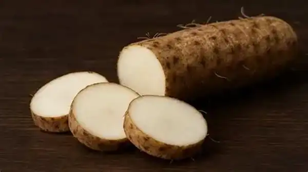 Wild Yam Extract Powder Wild Yam Extract Powder