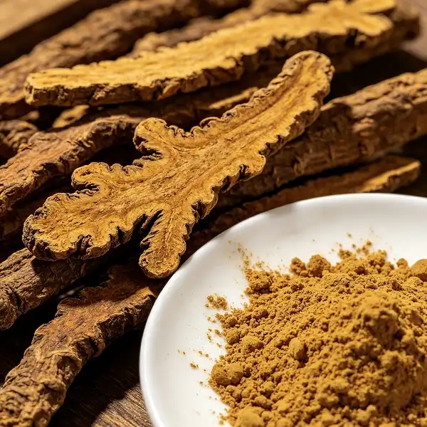 Rhizoma Coptidis Powder Rhizoma Coptidis Powder