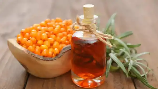 Organic Sea Buckthorn Seed Oil Organic Sea Buckthorn Seed Oil