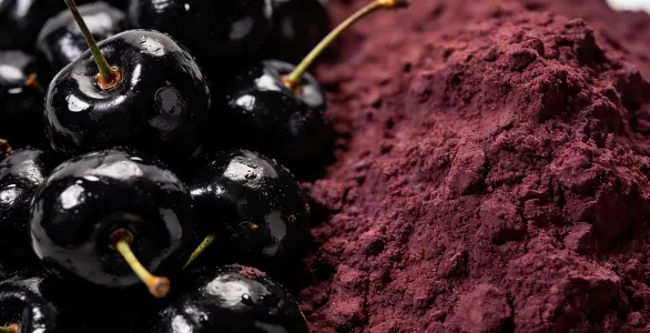 Black Cherry Juice Powder