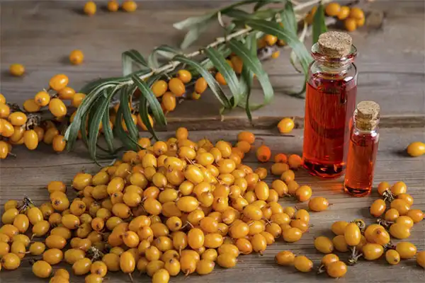 Organic Sea Buckthorn Seed Oil