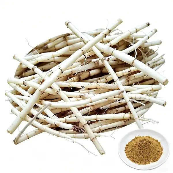 Couch Grass Rhizome Extract