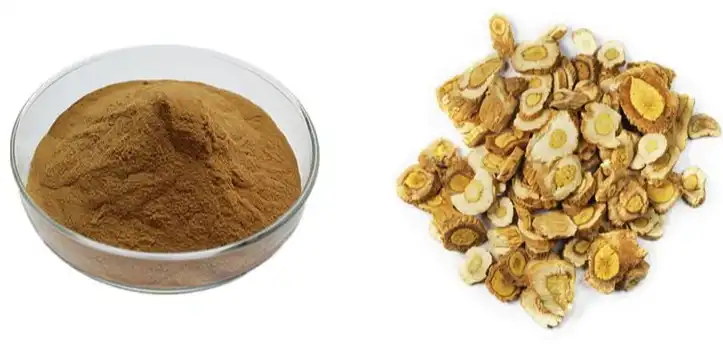 Isatis Root Extract Isatis Root Extract