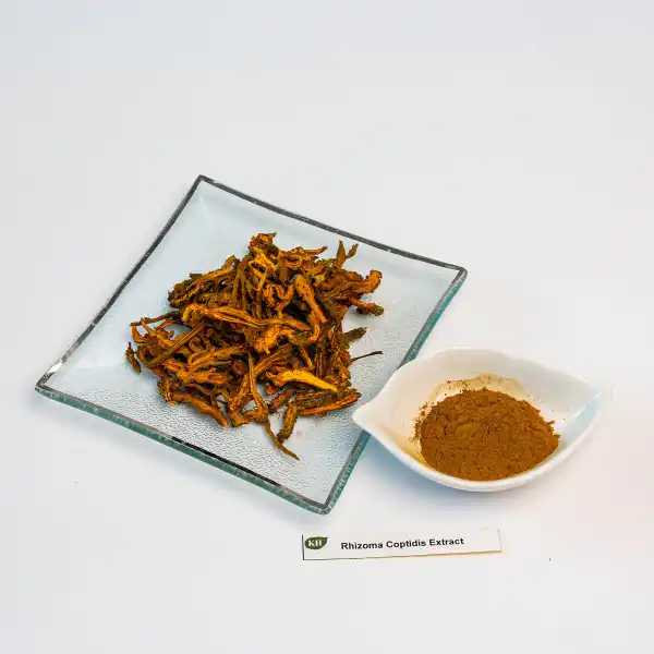 Rhizoma Coptidis Powder