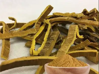 Cortex Phellodendri Powder