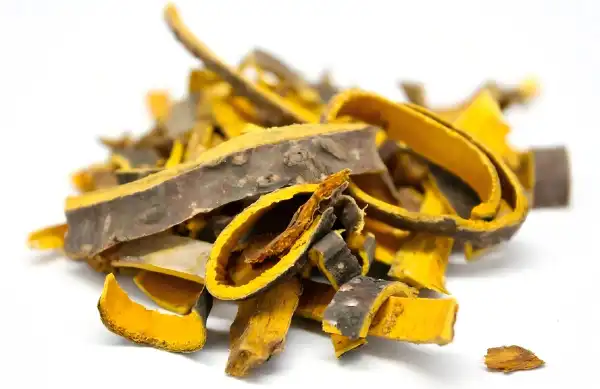 Cortex Phellodendri Powder