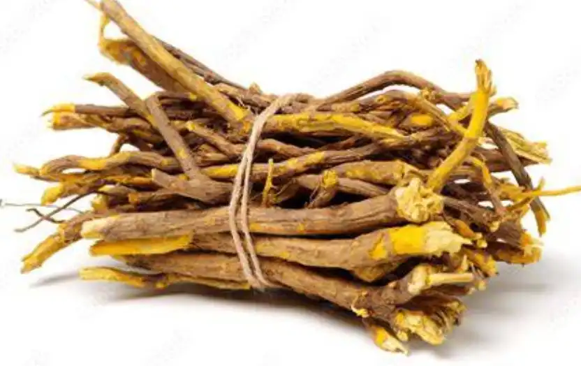 Rhizoma Coptidis Powder