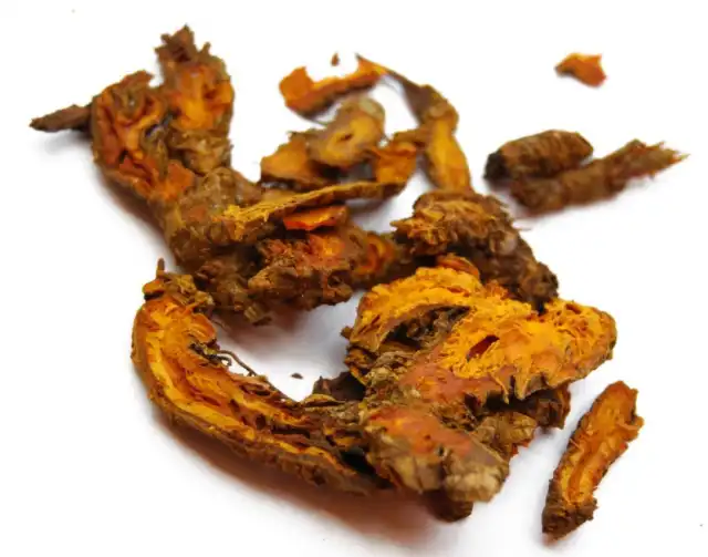 Rhizoma Coptidis Powder