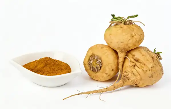 Maca Extract Powder Maca Extract Powder