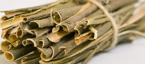 White Willow Bark Extract Powder