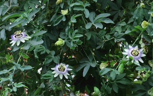 blog-1-1